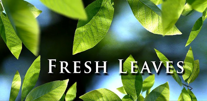 Красивые обои по теме природа - Fresh Leaves